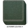 Dupont corian Automn Leaves