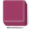 Dupont corian Bougainvillea
